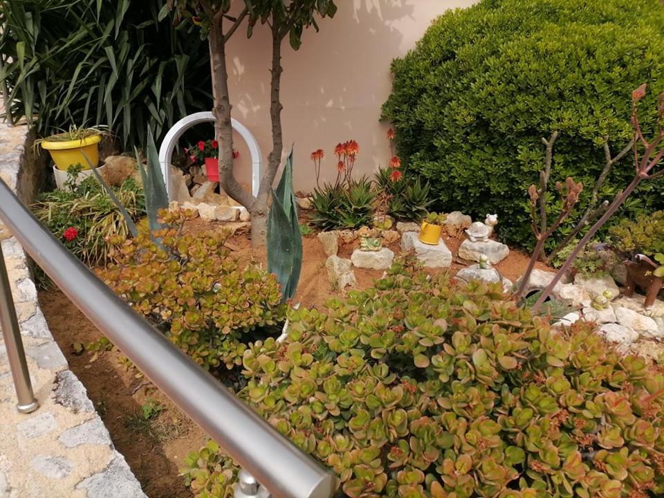 Kydoni Apartments And Studios Agia Marina Exterior foto